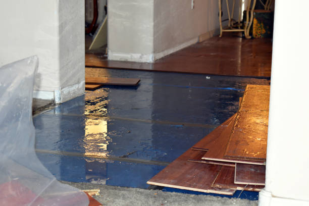 Professional Water Damage Restoration technician working in Highlands, CA